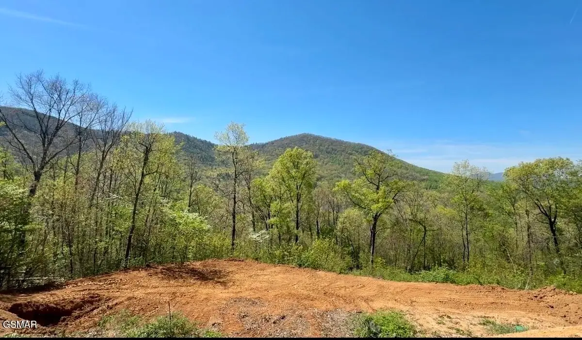 520 Stevia Way, Cosby, TN 37722 - #1