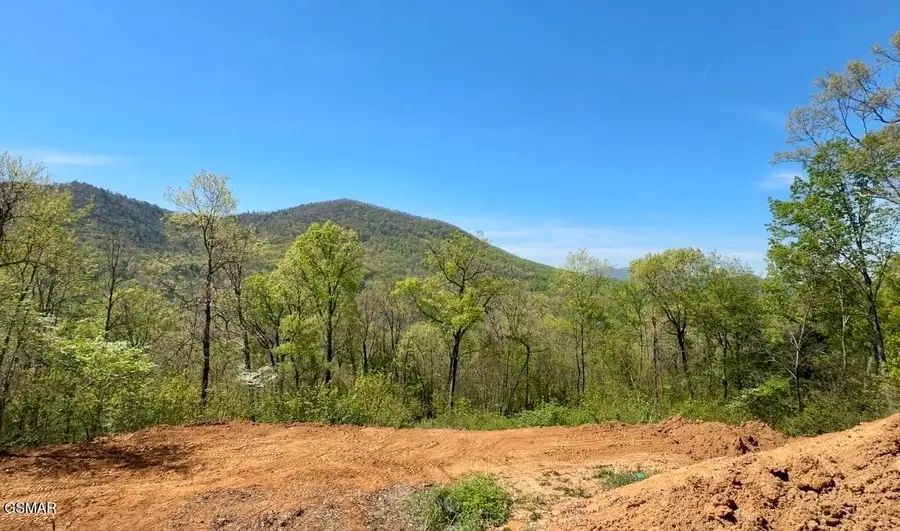 520 Stevia Way, Cosby, TN 37722 - #2