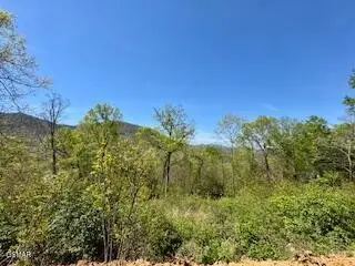 520 Stevia Way, Cosby, TN 37722 - #3