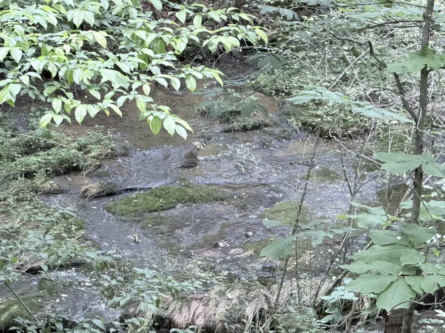0 Hidden Valley Rd, Huntland, TN 37345 - #3