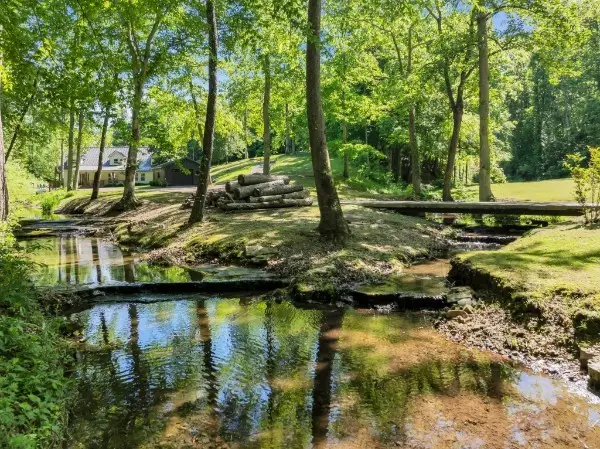 7741 Caney Fork Rd, Fairview, TN 37062 - #2