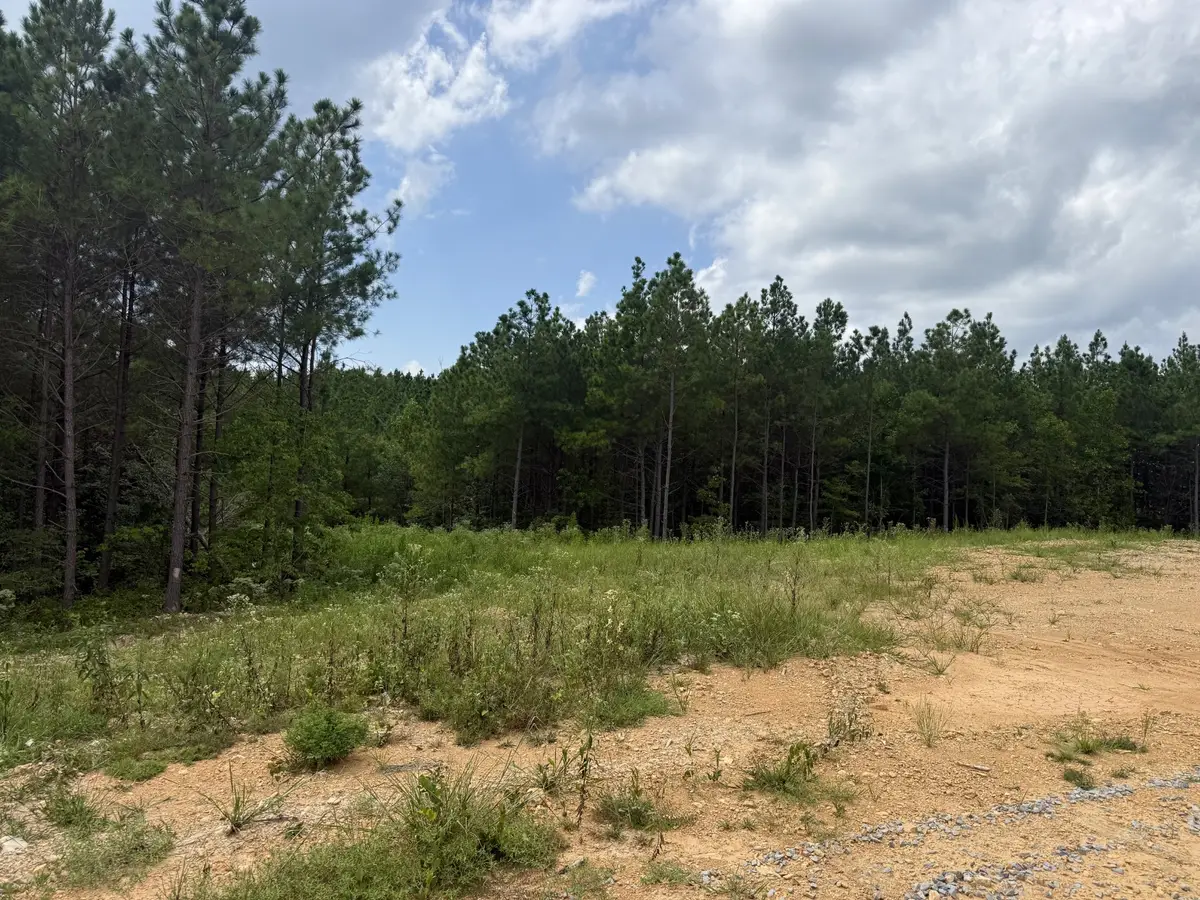 0 Warren Proctor Ln, Erin, TN 37061 - #1