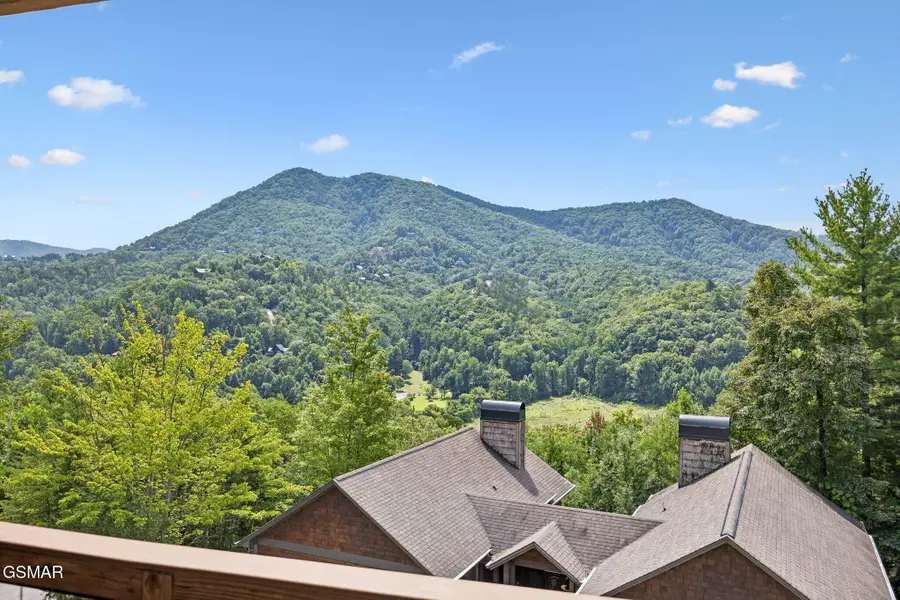 4228 Wears Valley Road, Sevierville, TN 37862 - #2