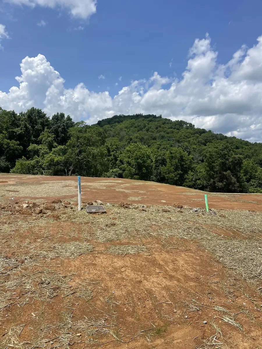 151 Berry Hunter Lane, Franklin, TN 37067 - #3