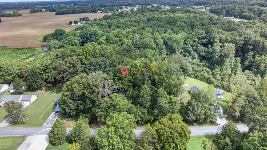 0 Bear Branch Road, Estill Springs, TN 37330 - #3