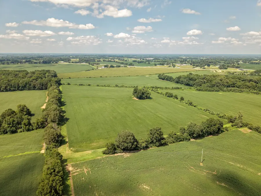 0 S Maury City Rd, Alamo, TN 38001 - #2