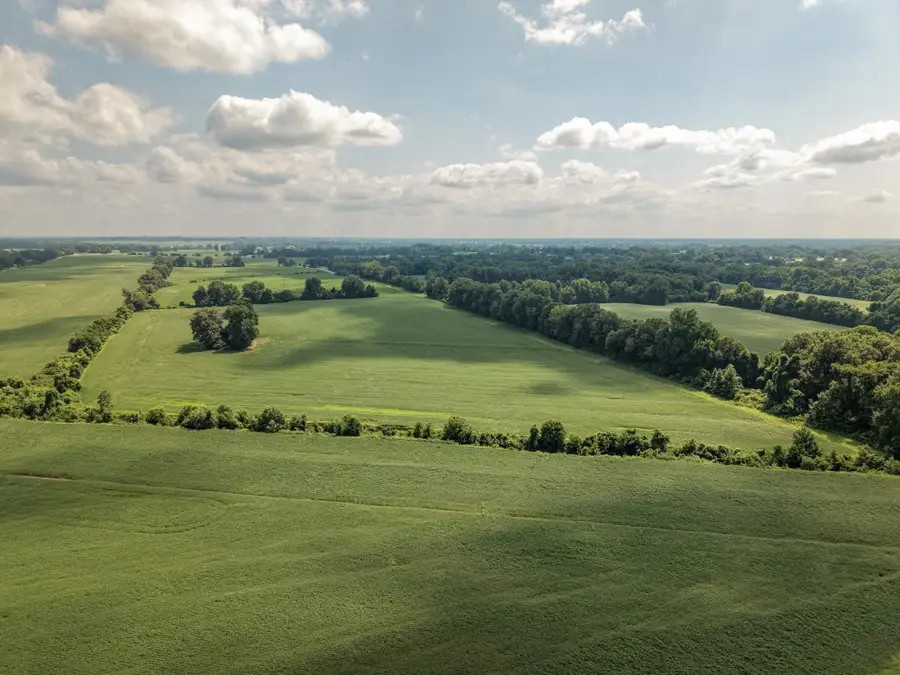 0 S Maury City Rd, Alamo, TN 38001 - #3