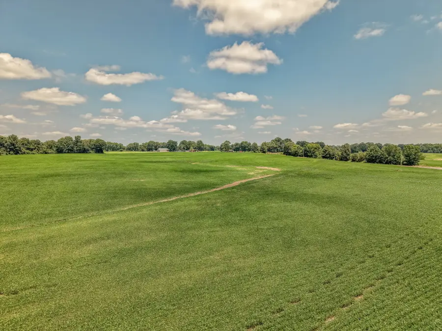 0 N Highway 54, Bells, TN 38006 - #2