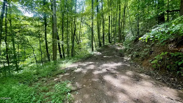 1304 Balsam Circle, Sevierville, TN 37876