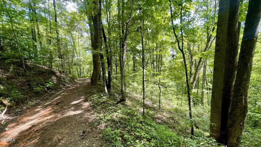 1304 Balsam Circle, Sevierville, TN 37876 - #2