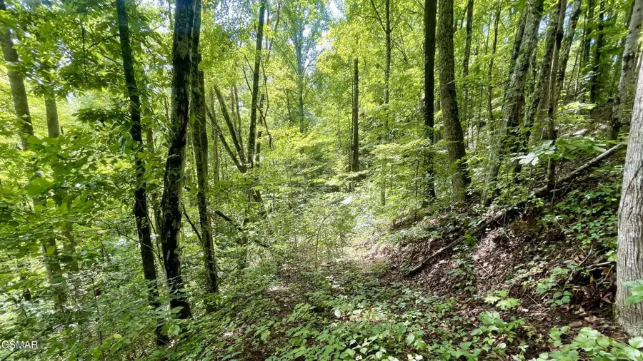 1304 Balsam Circle, Sevierville, TN 37876 - #3