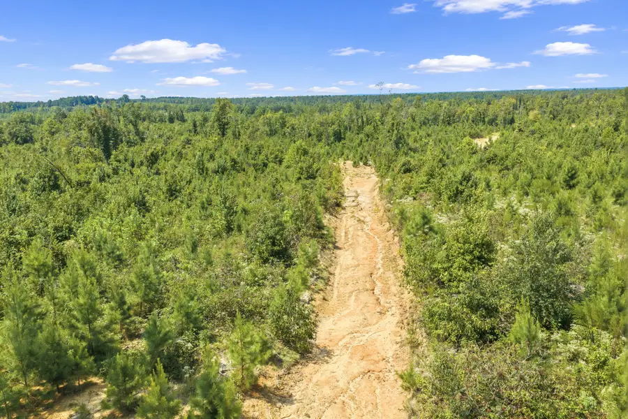 0 Rockport Mcillwain Rd, Holladay, TN 38341 - #2