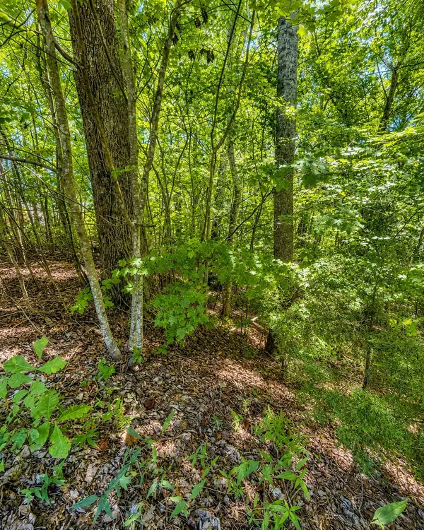 0 Tennis Center Dr, Smithville, TN 37166