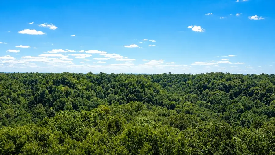 0 Tennis Center Dr, Smithville, TN 37166 - #3