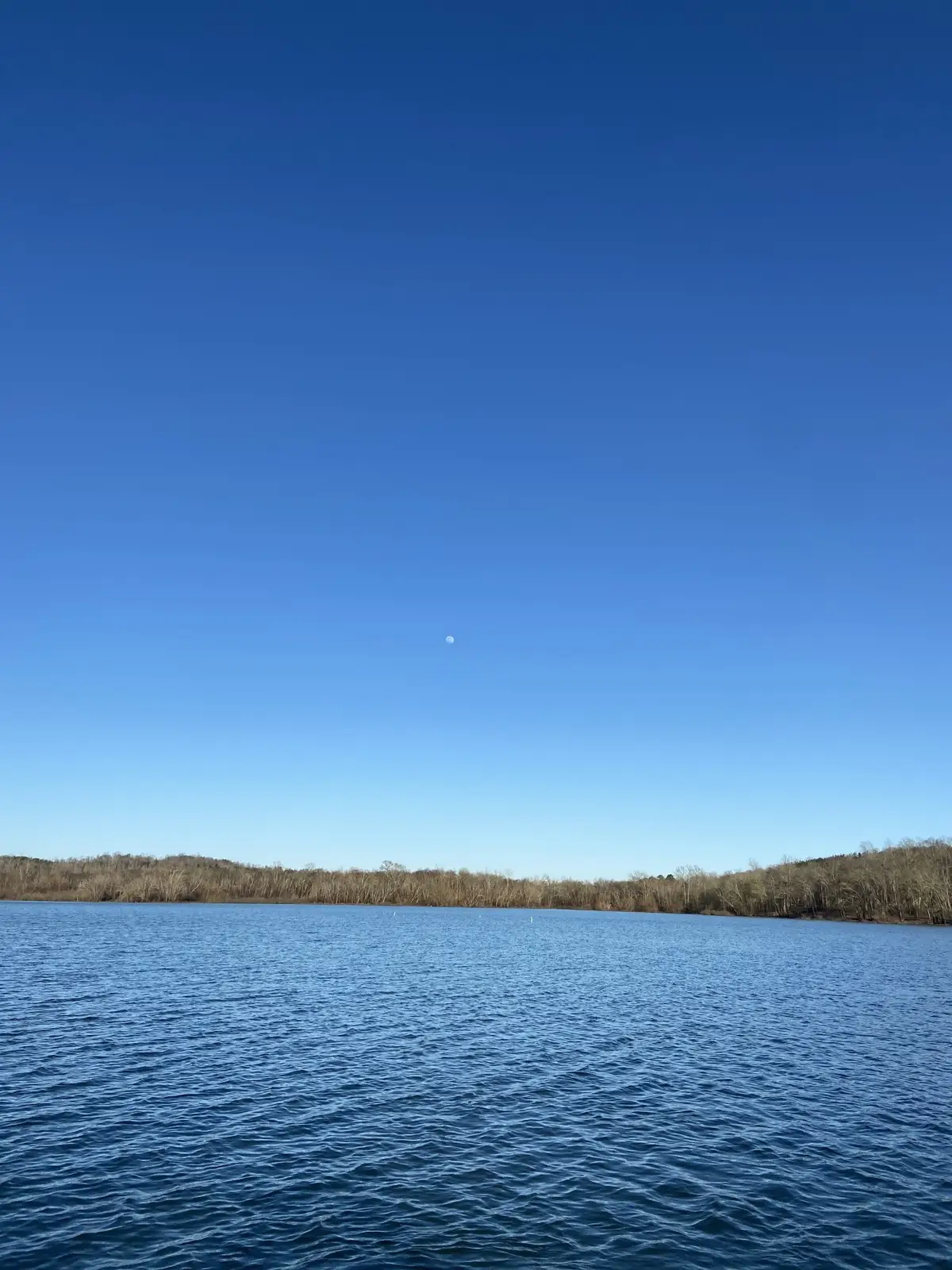 0 Roan Creek, Lobelville, TN 37097 - #1