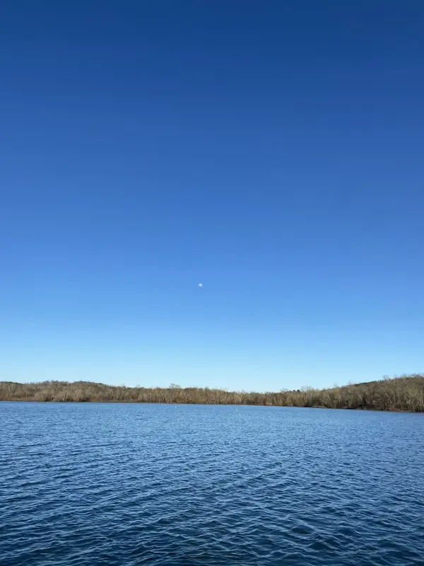 0 Roan Creek, Lobelville, TN 37097