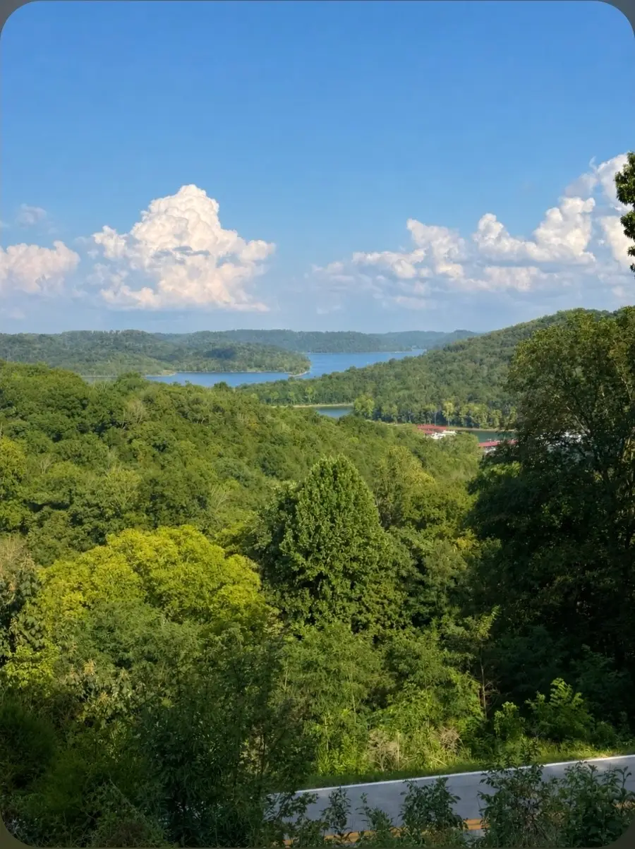 7383 Dale Ridge Rd, Lancaster, TN 38569 - #2