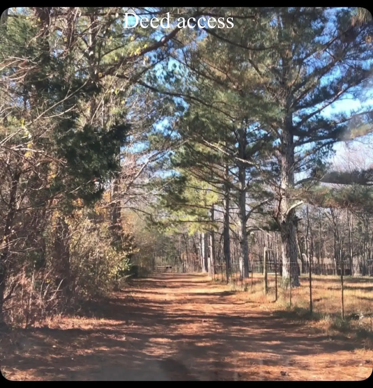 1596 Wilburn Phillips Rd, Lewisburg, TN 37091 - #1