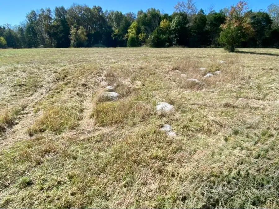 1596 Wilburn Phillips Rd, Lewisburg, TN 37091 - #3