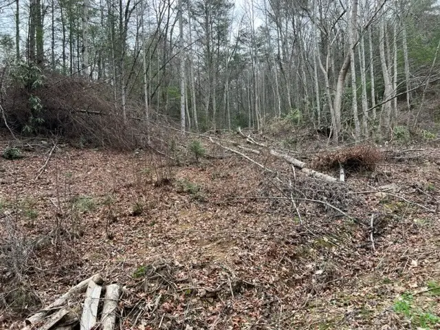 3 Coy Rhea Way, Sevierville, TN 37876 - #2