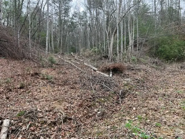 3 Coy Rhea Way, Sevierville, TN 37876 - #3