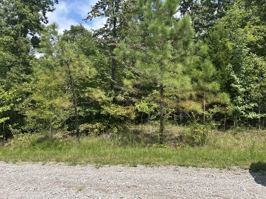 0 American Way, Stewart, TN 37175 - #3