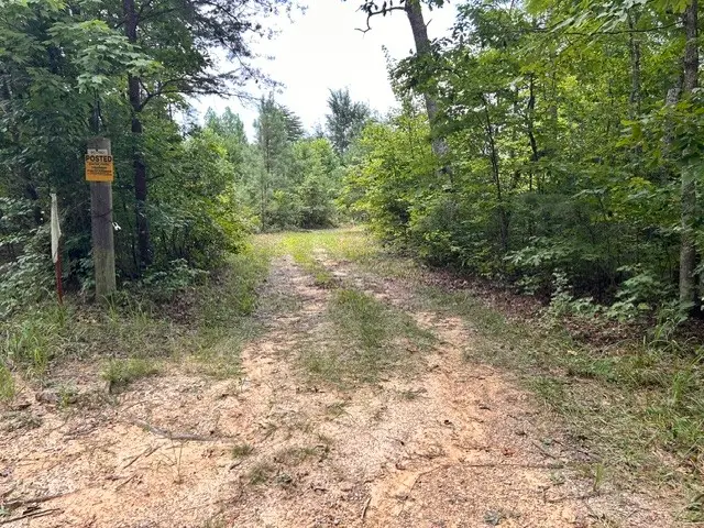 50 Lewis Rd, Spencer, TN 38585 - #3