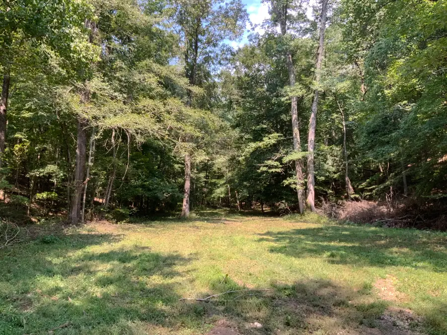 234 Lower Standing Rock Rd, Dover, TN 37058 - #2