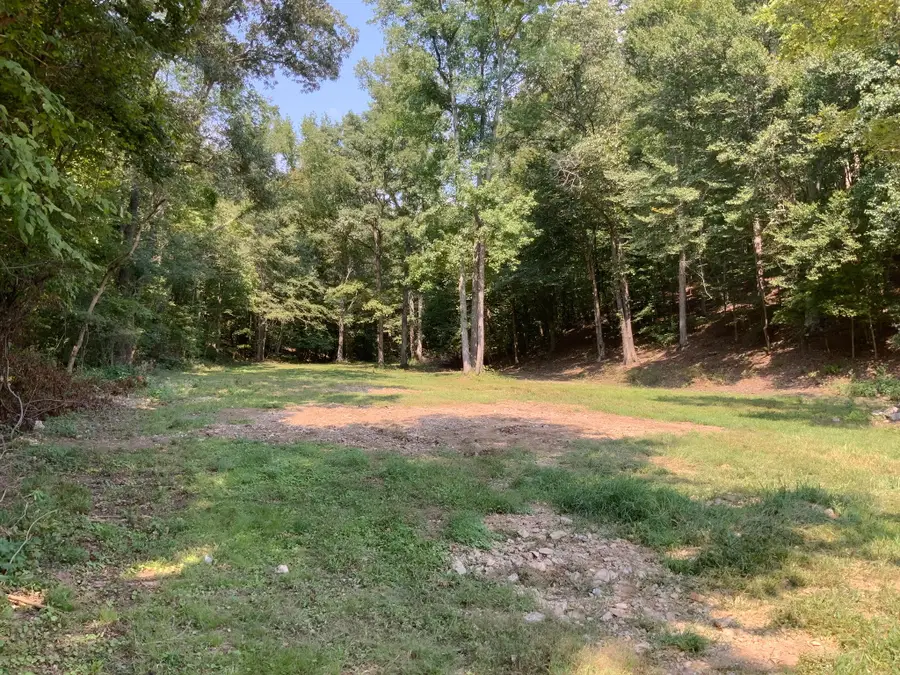234 Lower Standing Rock Rd, Dover, TN 37058 - #3