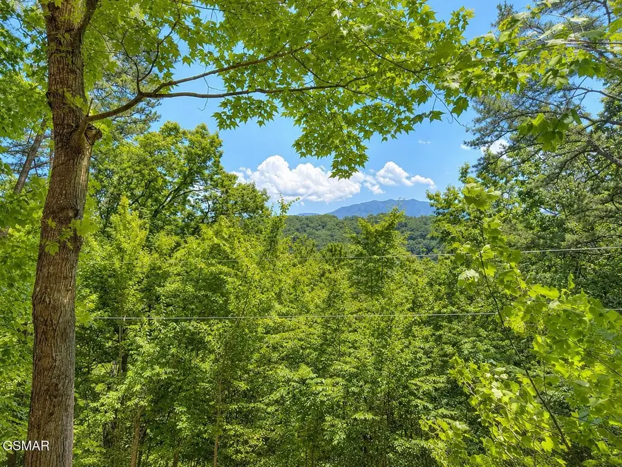 874878 Boone Acres Lane, Pigeon Forge, TN 37863 - #2
