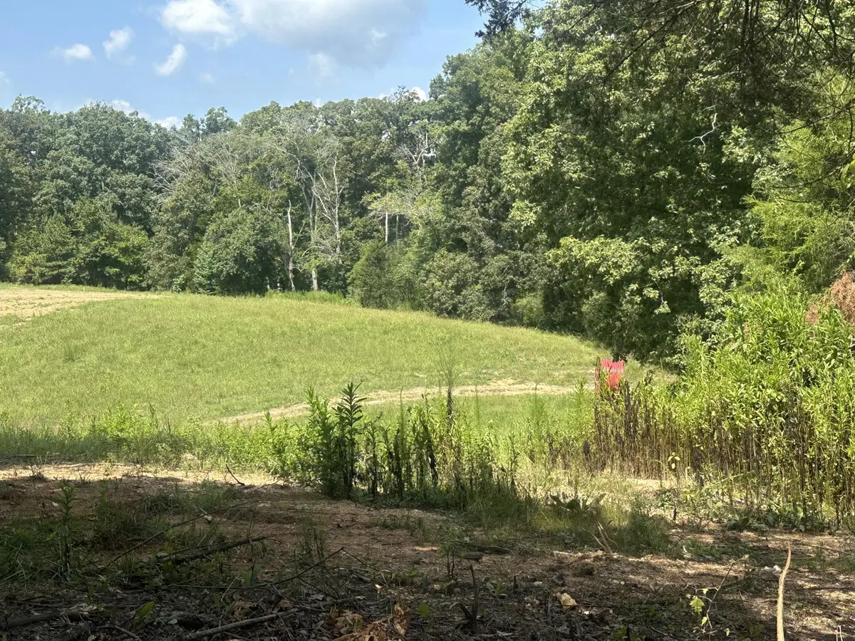 14611 Baker Road, Birchwood, TN 37308 - #1