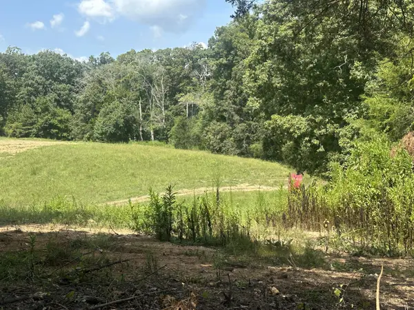 14611 Baker Road, Birchwood, TN 37308