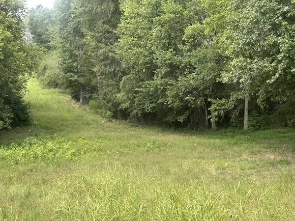 14543 Baker Road, Birchwood, TN 37308