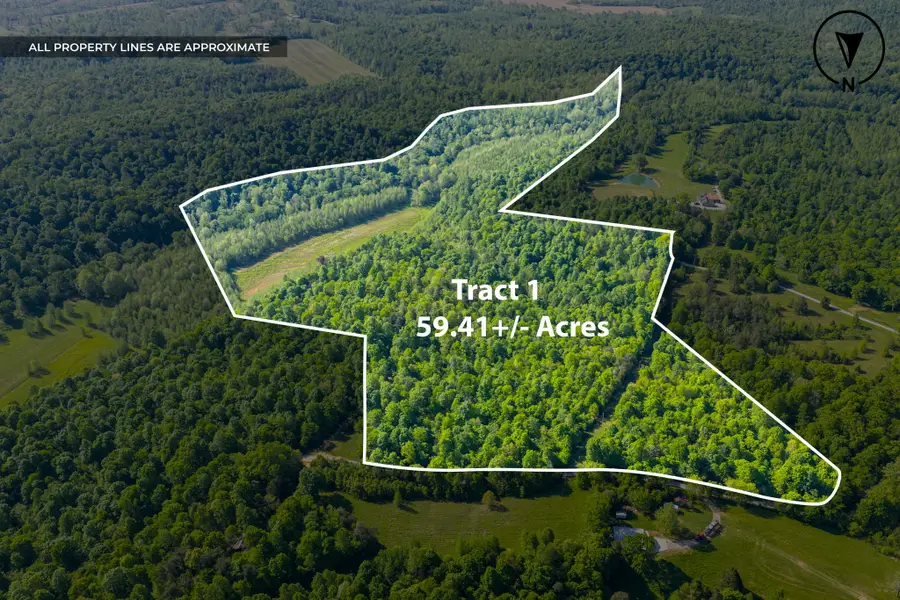 605 Morris Beshear Rd, Dawson Springs, KY 42408 - #2