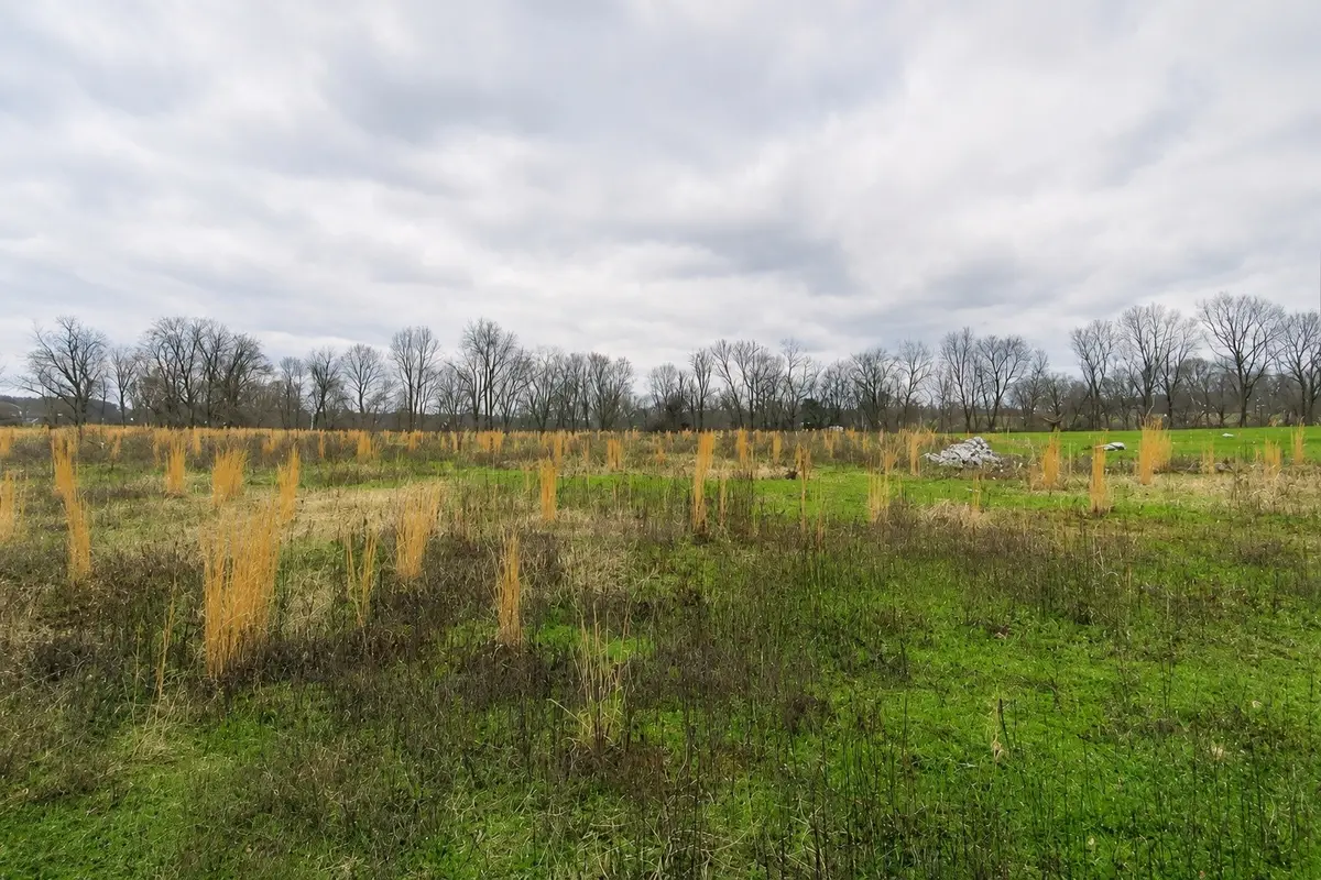 3126 Wixtown Rd, Westmoreland, TN 37186 - #1