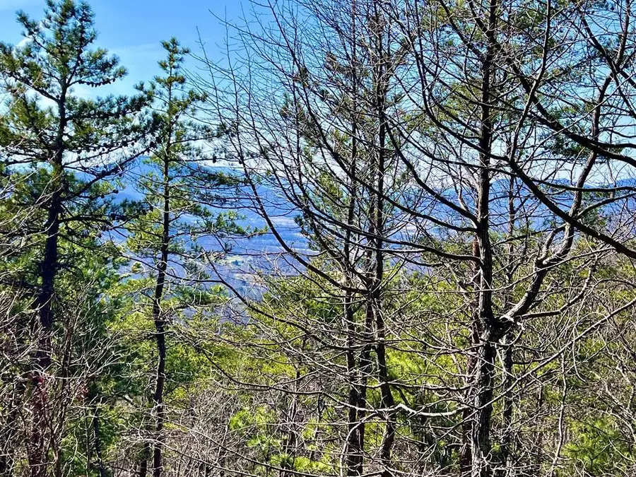1 Ravens Den Way, Sevierville, TN 37862 - #2