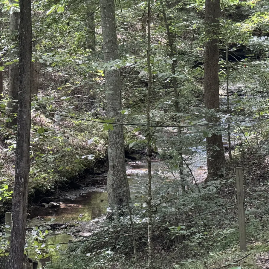 1336 Big Tom Rd, Kingston Springs, TN 37082 - #3