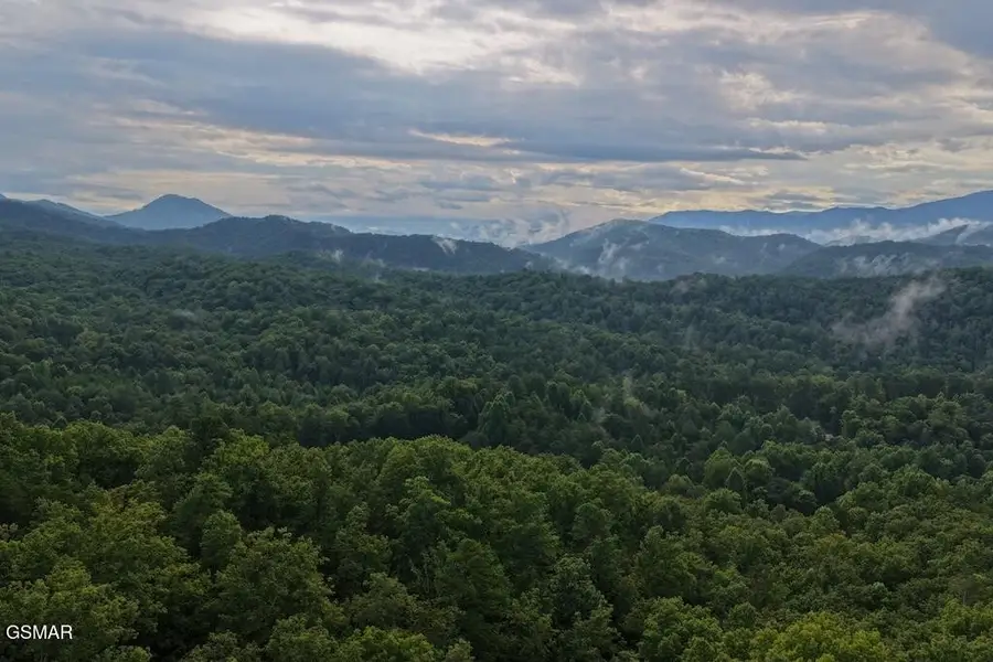 42 Shady Oaks Way, Sevierville, TN 37876 - #3