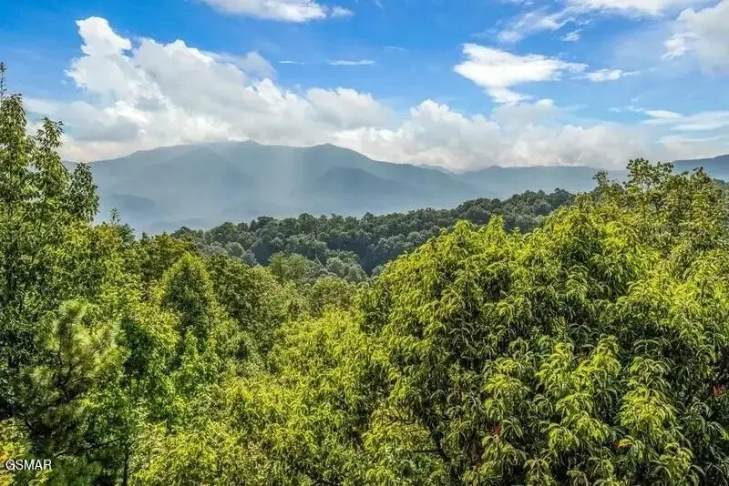 1109 Ski View Drive, Gatlinburg, TN 37738 - #3