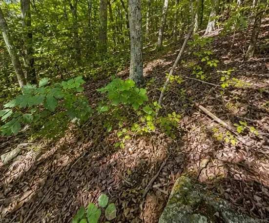 0 Swiper Dr, Smithville, TN 37166 - #2