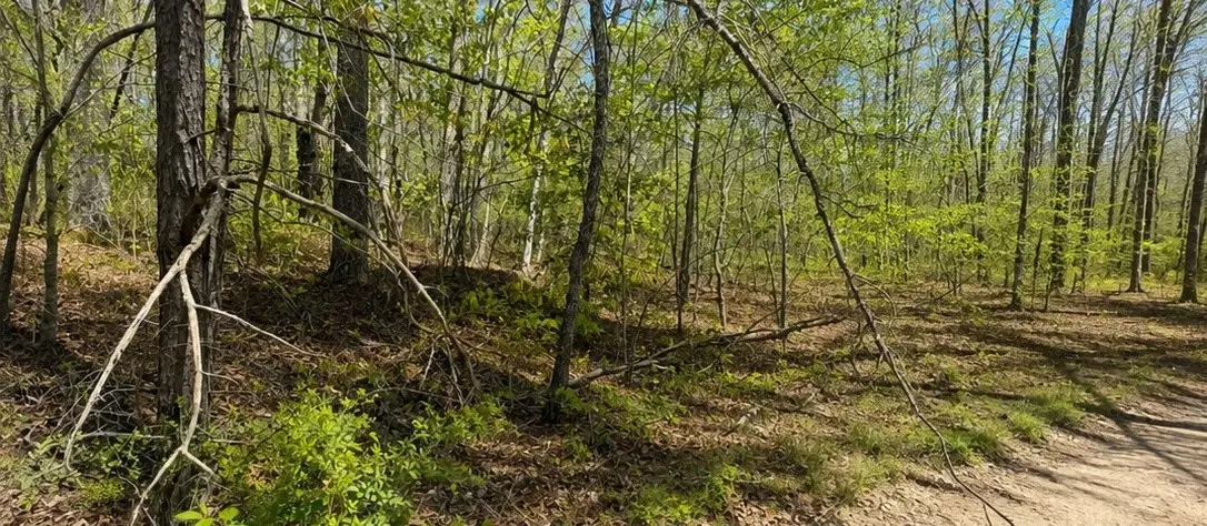 0 Doe Creek Lake Dr, Sparta, TN 38583 - #1