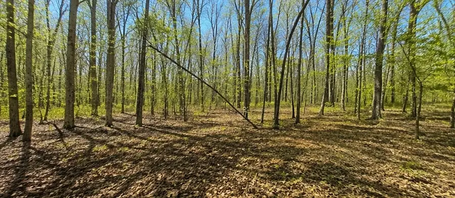 0 Doe Creek Lake Dr, Sparta, TN 38583 - #2