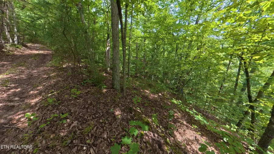 0 Shady Oaks Way, Sevierville, TN 37876 - #2