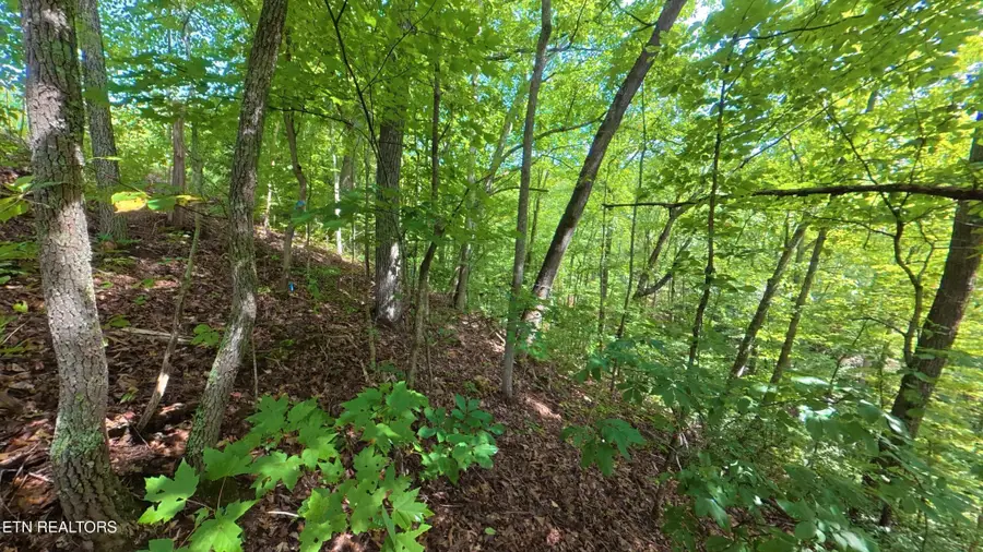 0 Shady Oaks Way, Sevierville, TN 37876 - #3