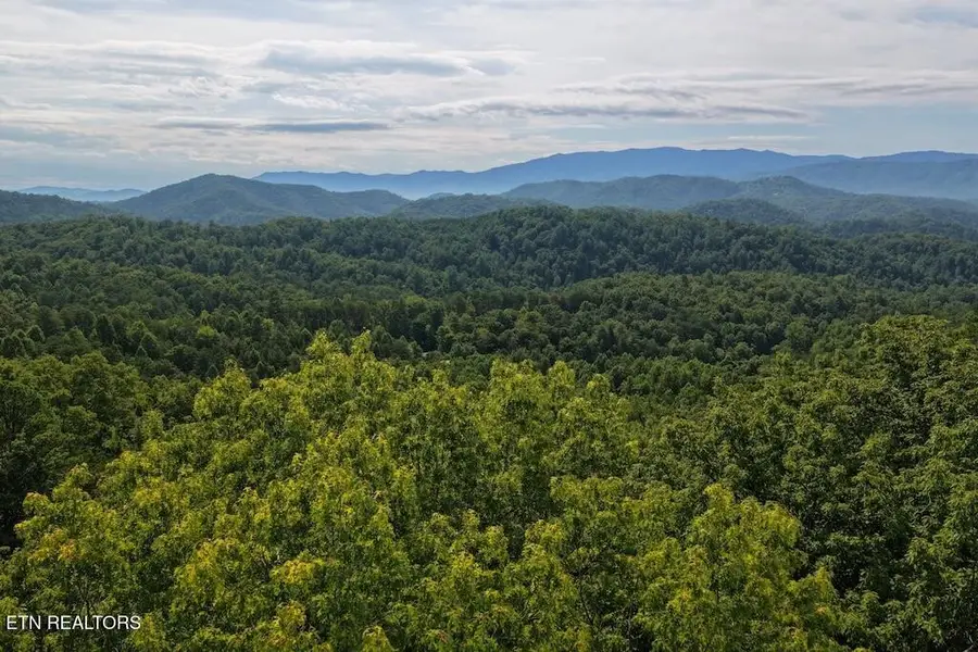 0 Shady Oaks Way, Sevierville, TN 37876 - #2