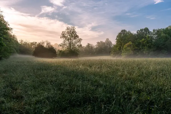 1647 Groveland Ridge Rd, Columbia, TN 38401