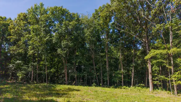4538 Old Metal Rd, Palmyra, TN 37142