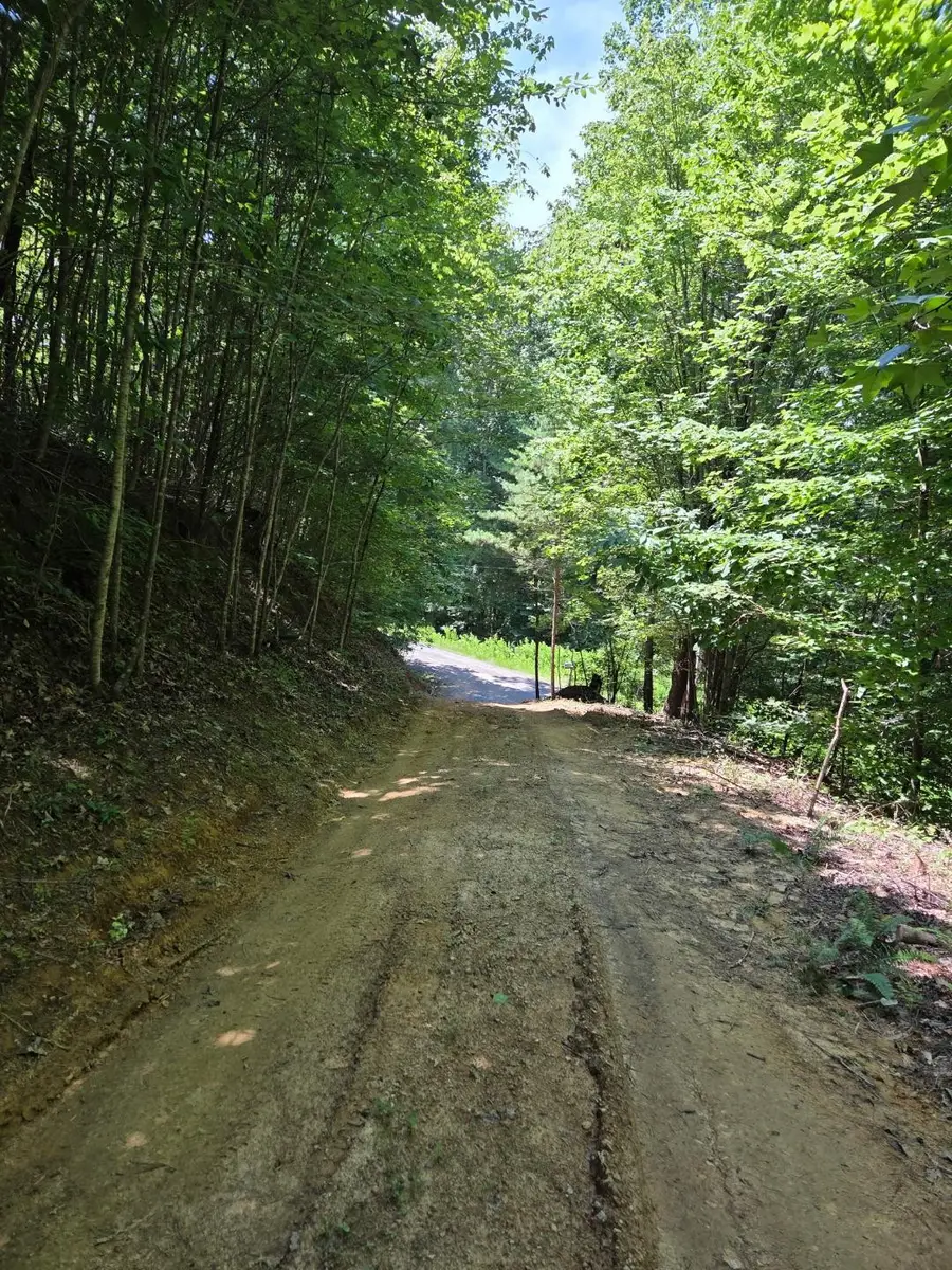 126 County Road 179, Athens, TN 37303 - #3