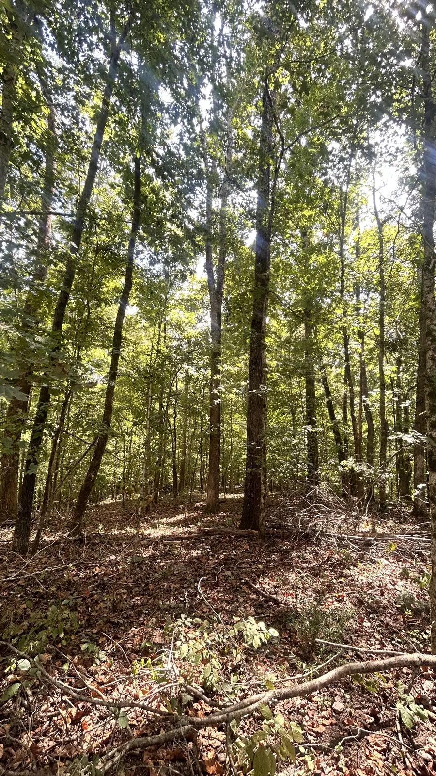 0 Hazel, Centerville, TN 37033 - #3