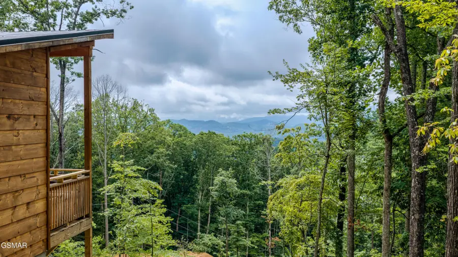 21222128 Bluff Mountain Road, Sevierville, TN 37876 - #3